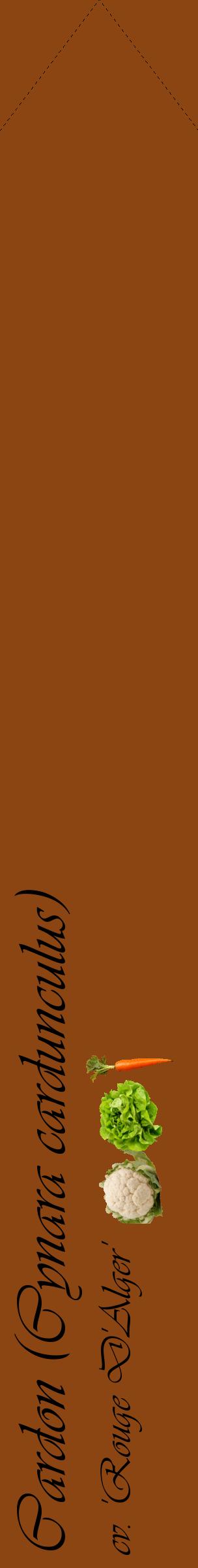 Étiquette de : Cynara cardunculus cv. 'Rouge D'Alger' - format c - style noire30_simpleviv avec comestibilité simplifiée