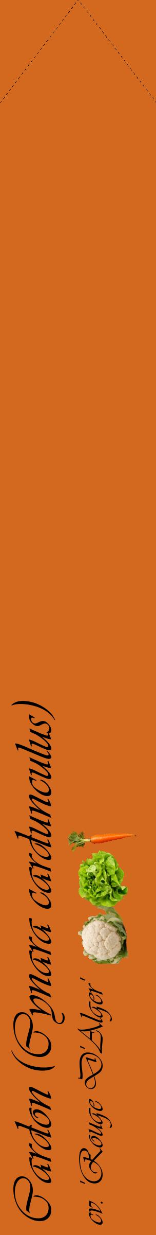 Étiquette de : Cynara cardunculus cv. 'Rouge D'Alger' - format c - style noire31_simpleviv avec comestibilité simplifiée
