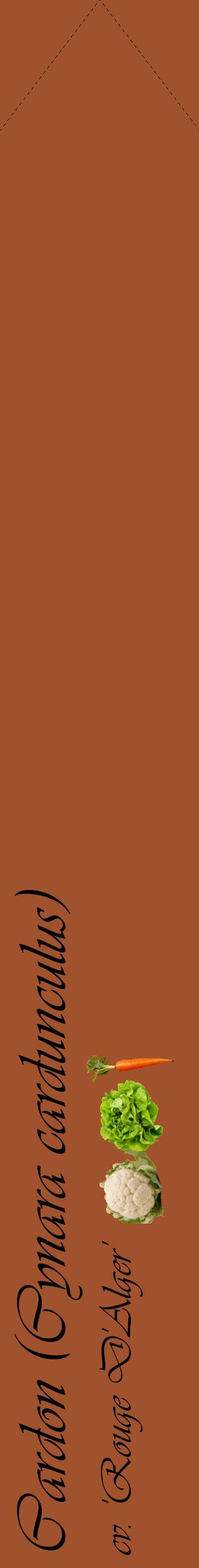 Étiquette de : Cynara cardunculus cv. 'Rouge D'Alger' - format c - style noire32_simpleviv avec comestibilité simplifiée