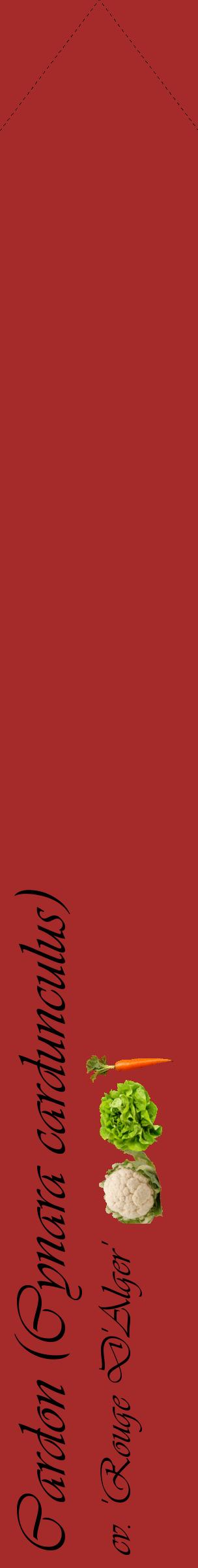 Étiquette de : Cynara cardunculus cv. 'Rouge D'Alger' - format c - style noire33_simpleviv avec comestibilité simplifiée