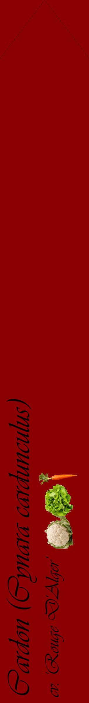 Étiquette de : Cynara cardunculus cv. 'Rouge D'Alger' - format c - style noire34_simpleviv avec comestibilité simplifiée