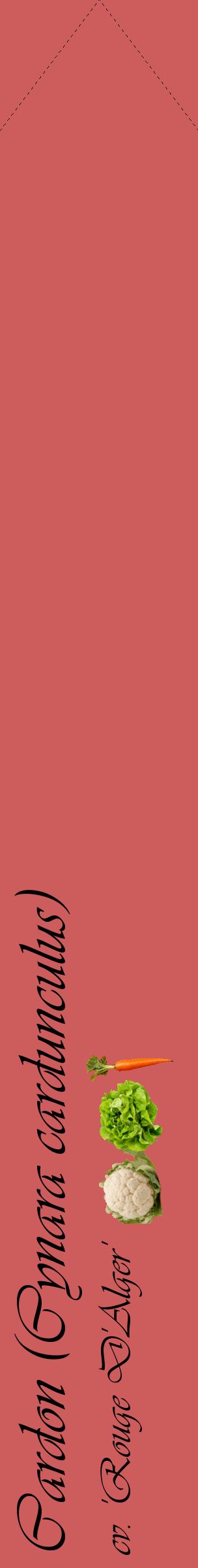 Étiquette de : Cynara cardunculus cv. 'Rouge D'Alger' - format c - style noire35_simpleviv avec comestibilité simplifiée