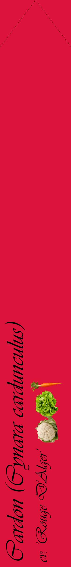 Étiquette de : Cynara cardunculus cv. 'Rouge D'Alger' - format c - style noire36_simpleviv avec comestibilité simplifiée