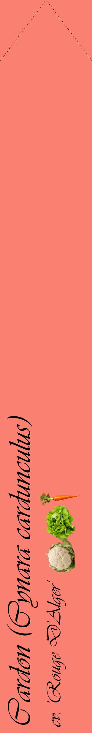 Étiquette de : Cynara cardunculus cv. 'Rouge D'Alger' - format c - style noire38_simpleviv avec comestibilité simplifiée
