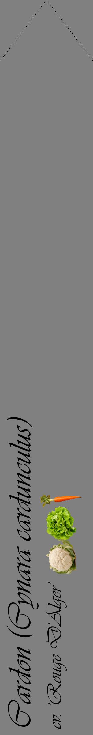 Étiquette de : Cynara cardunculus cv. 'Rouge D'Alger' - format c - style noire57_simpleviv avec comestibilité simplifiée