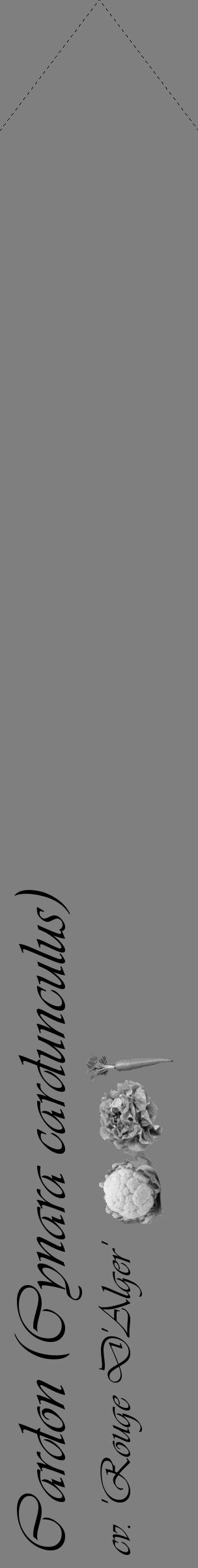 Étiquette de : Cynara cardunculus cv. 'Rouge D'Alger' - format c - style noire57_simple_simpleviv avec comestibilité simplifiée - position verticale