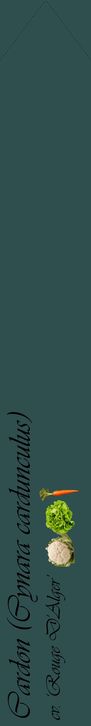 Étiquette de : Cynara cardunculus cv. 'Rouge D'Alger' - format c - style noire58_simpleviv avec comestibilité simplifiée
