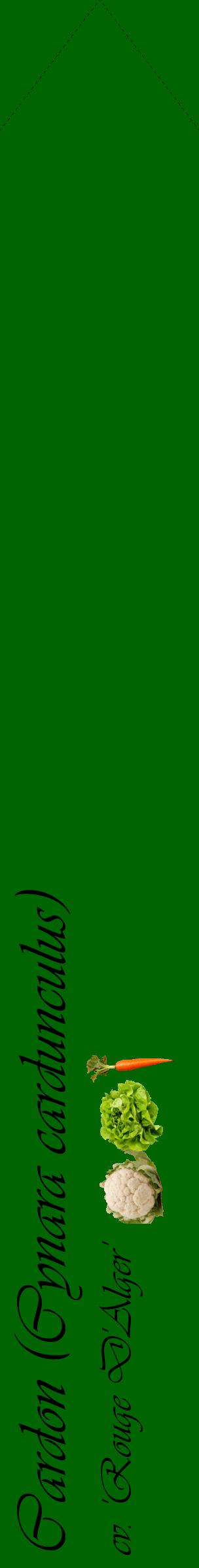 Étiquette de : Cynara cardunculus cv. 'Rouge D'Alger' - format c - style noire8_simpleviv avec comestibilité simplifiée