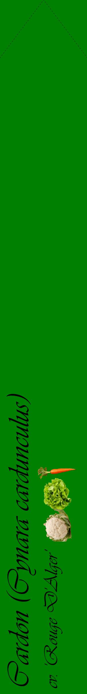 Étiquette de : Cynara cardunculus cv. 'Rouge D'Alger' - format c - style noire9_simpleviv avec comestibilité simplifiée