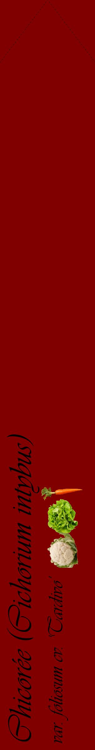Étiquette de : Cichorium intybus var. foliosum cv. 'Tardivo' - format c - style noire29_simpleviv avec comestibilité simplifiée