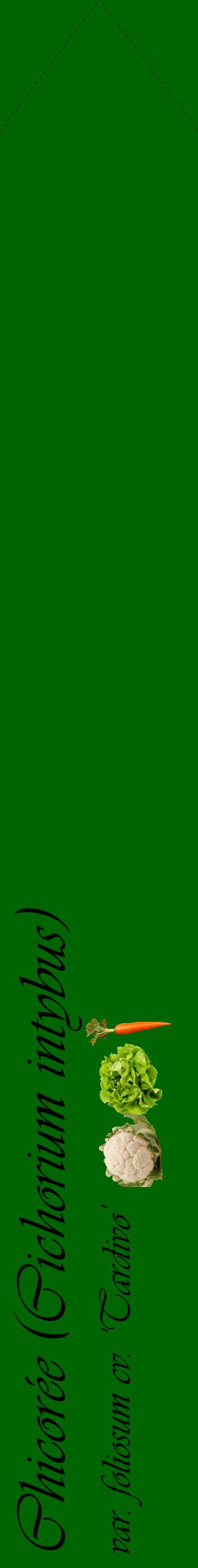 Étiquette de : Cichorium intybus var. foliosum cv. 'Tardivo' - format c - style noire8_simpleviv avec comestibilité simplifiée