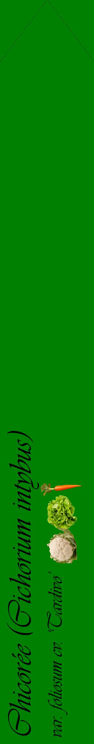 Étiquette de : Cichorium intybus var. foliosum cv. 'Tardivo' - format c - style noire9_simpleviv avec comestibilité simplifiée