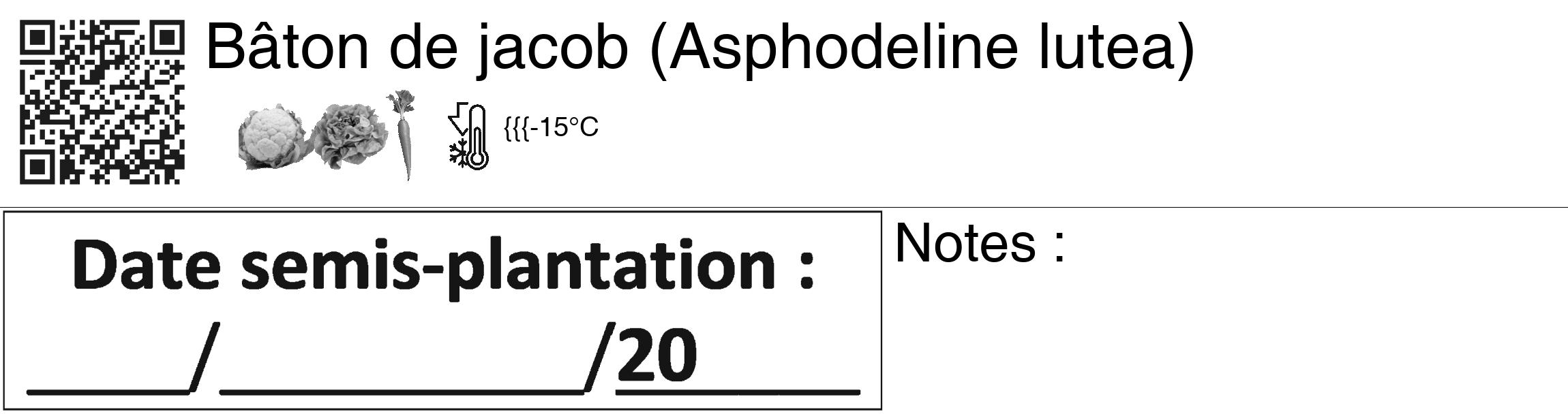 Étiquette de : Asphodeline lutea - format c - style noire60_basiquegrrvhel avec qrcode et comestibilité simplifiée
