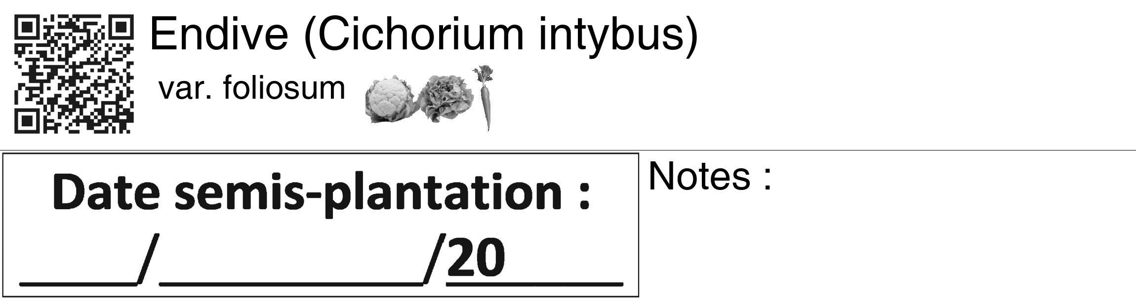 Étiquette de : Cichorium intybus var. foliosum - format c - style noire60_basiquegrrvhel avec qrcode et comestibilité simplifiée