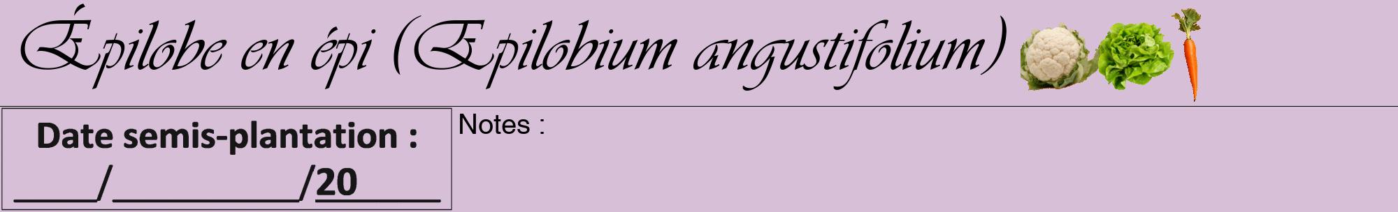 Étiquette de : Epilobium angustifolium - format a - style noire54viv avec comestibilité simplifiée