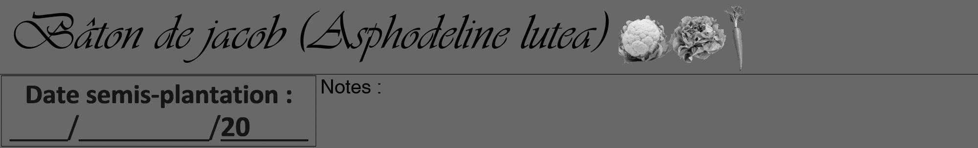 Étiquette de : Asphodeline lutea - format a - style noire43viv avec comestibilité simplifiée
