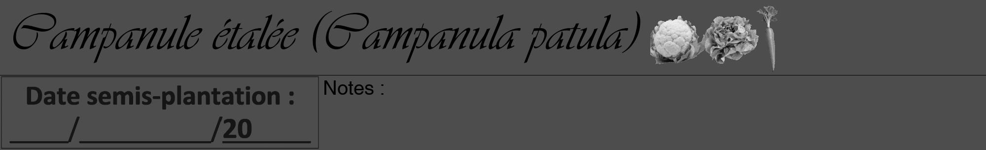 Étiquette de : Campanula patula - format a - style noire28viv avec comestibilité simplifiée