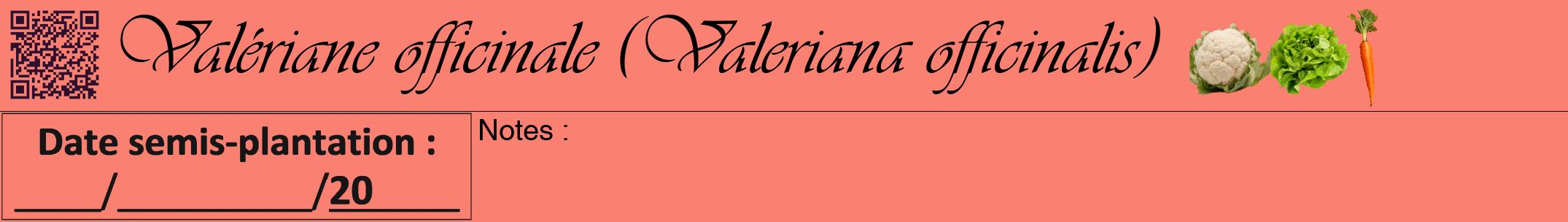 Étiquette de : Valeriana officinalis - format a - style noire38viv avec qrcode et comestibilité simplifiée