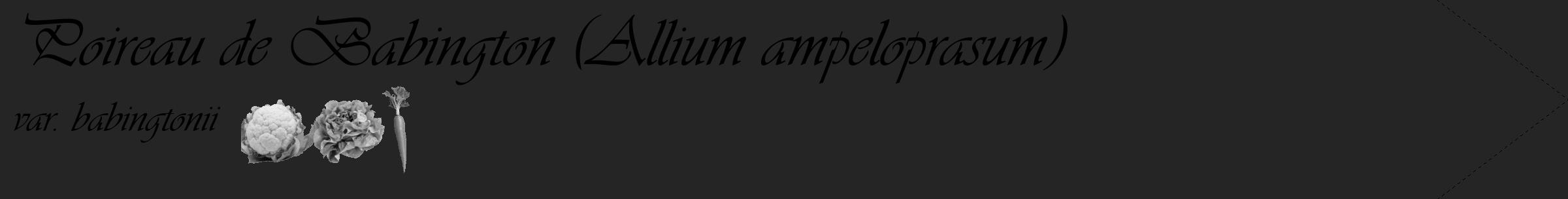 Étiquette de : Allium ampeloprasum var. babingtonii - format c - style noire47_simple_simpleviv avec comestibilité simplifiée