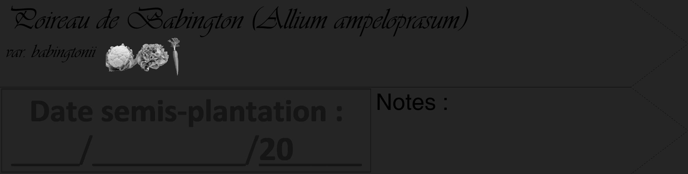 Étiquette de : Allium ampeloprasum var. babingtonii - format c - style noire47_simple_simpleviv avec comestibilité simplifiée
