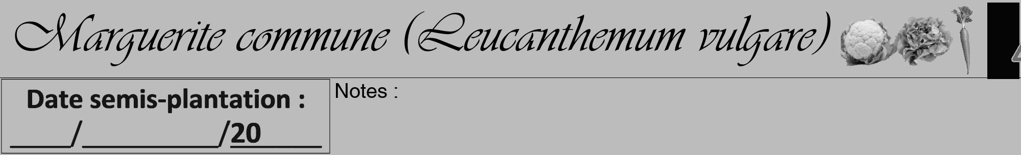 Étiquette de : Leucanthemum vulgare - format a - style noire1viv avec comestibilité simplifiée