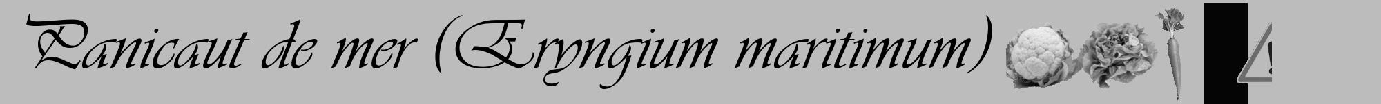 Étiquette de : Eryngium maritimum - format a - style noire1viv avec comestibilité simplifiée