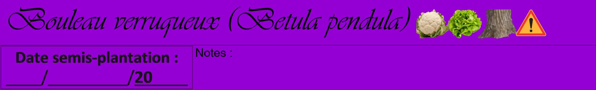 Étiquette de : Betula pendula - format a - style noire48viv avec comestibilité simplifiée