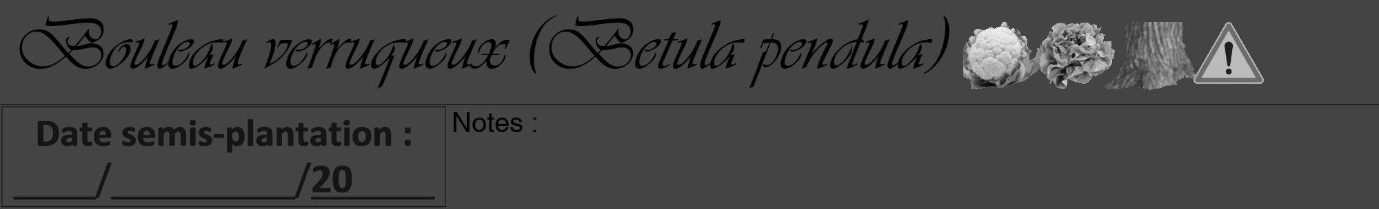 Étiquette de : Betula pendula - format a - style noire48viv avec comestibilité simplifiée