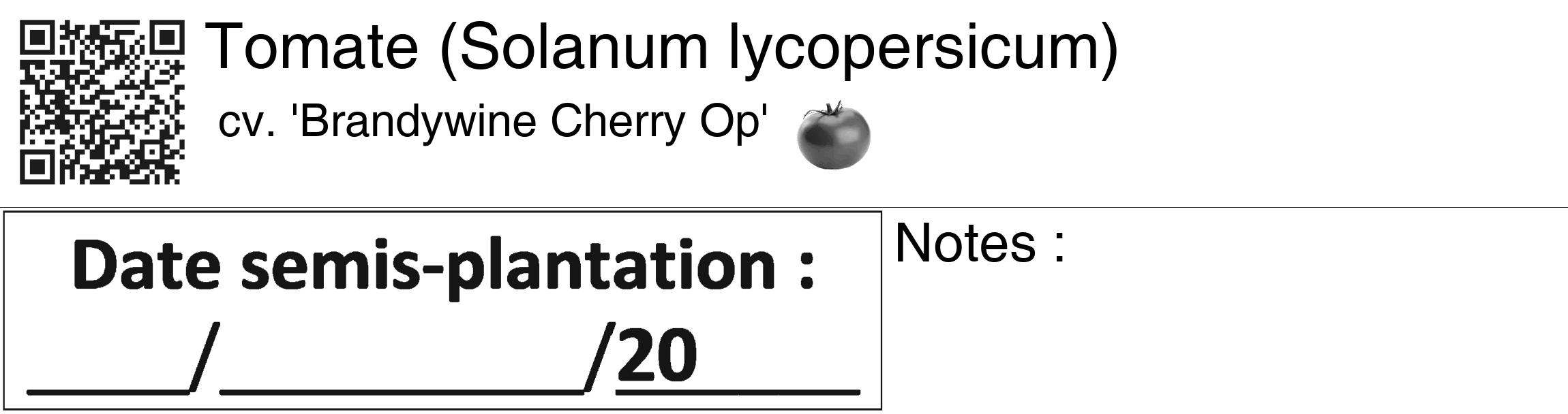 Étiquette de : Solanum lycopersicum cv. 'Brandywine Cherry Op' - format c - style noire60_basiquegrrvhel avec qrcode et comestibilité simplifiée