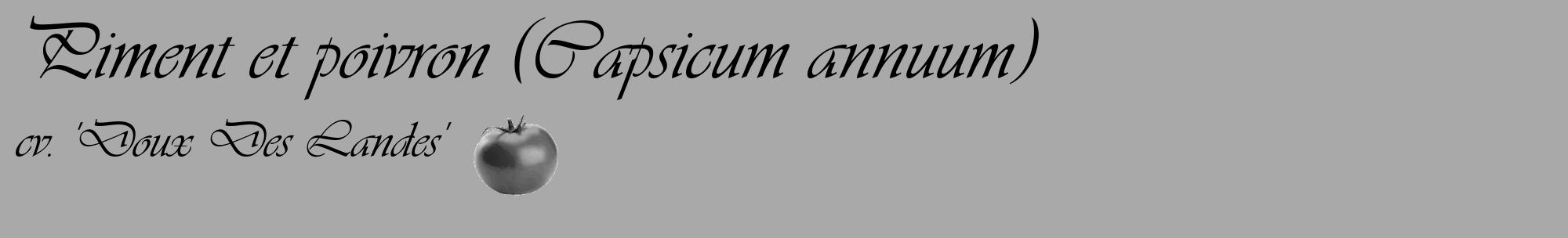 Étiquette de : Capsicum annuum cv. 'Doux Des Landes' - format c - style noire13_basique_basiqueviv avec comestibilité simplifiée