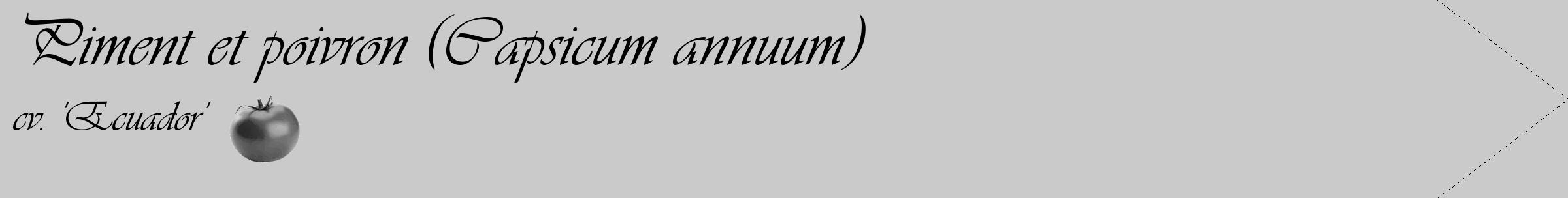 Étiquette de : Capsicum annuum cv. 'Ecuador' - format c - style noire21_simple_simpleviv avec comestibilité simplifiée