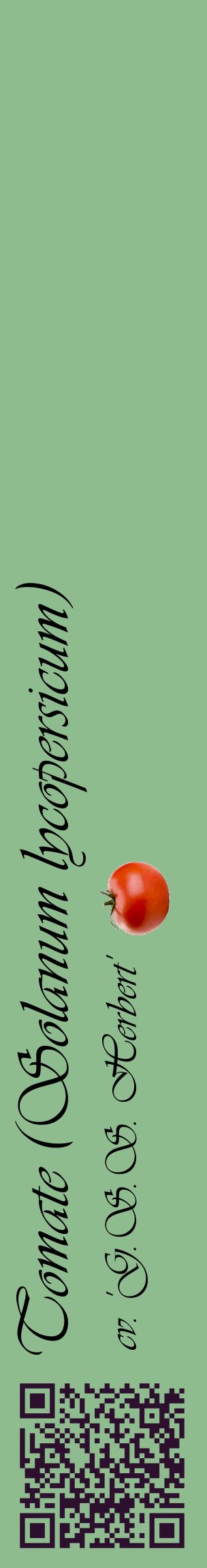 Étiquette de : Solanum lycopersicum cv. 'G.S.S. Herbert' - format c - style noire13_basiqueviv avec qrcode et comestibilité simplifiée