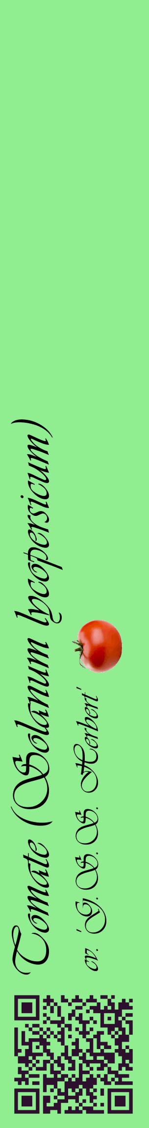 Étiquette de : Solanum lycopersicum cv. 'G.S.S. Herbert' - format c - style noire15_basiqueviv avec qrcode et comestibilité simplifiée