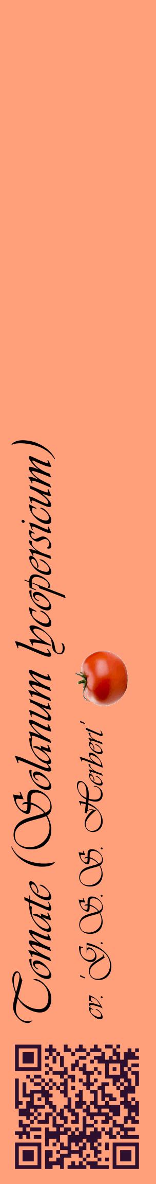 Étiquette de : Solanum lycopersicum cv. 'G.S.S. Herbert' - format c - style noire39_basiqueviv avec qrcode et comestibilité simplifiée