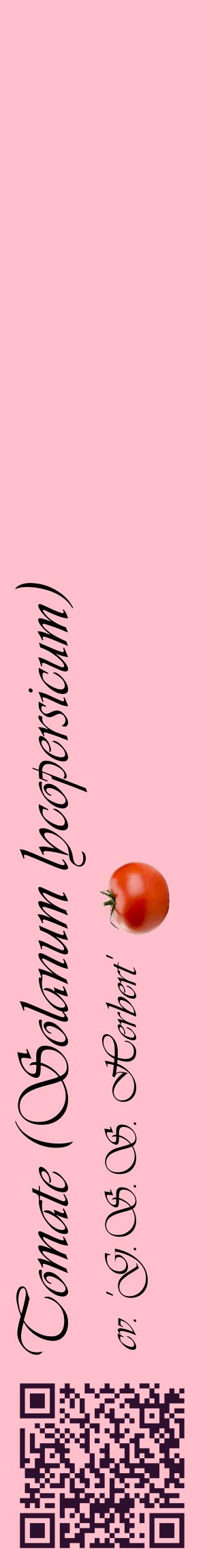 Étiquette de : Solanum lycopersicum cv. 'G.S.S. Herbert' - format c - style noire40_basiqueviv avec qrcode et comestibilité simplifiée