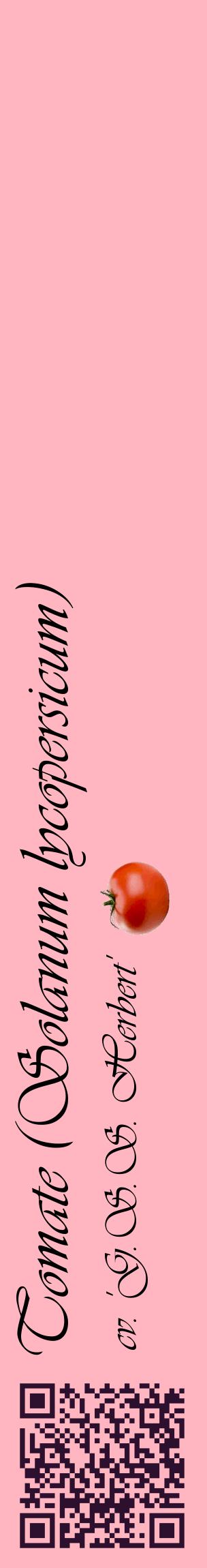 Étiquette de : Solanum lycopersicum cv. 'G.S.S. Herbert' - format c - style noire41_basiqueviv avec qrcode et comestibilité simplifiée