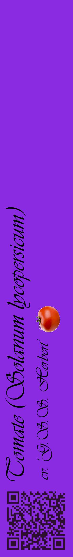 Étiquette de : Solanum lycopersicum cv. 'G.S.S. Herbert' - format c - style noire49_basiqueviv avec qrcode et comestibilité simplifiée
