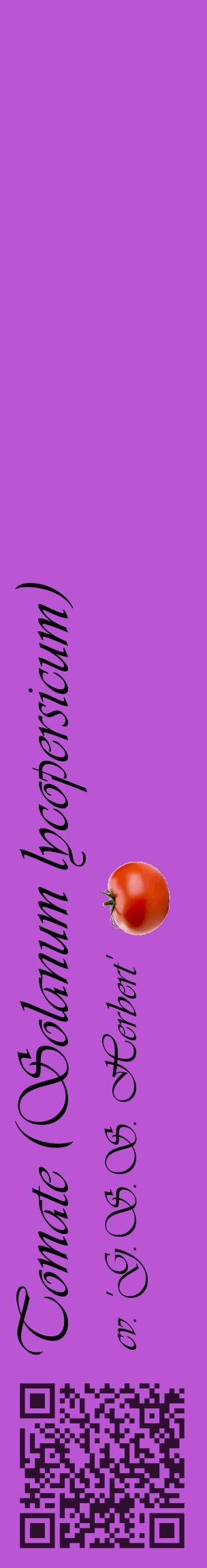 Étiquette de : Solanum lycopersicum cv. 'G.S.S. Herbert' - format c - style noire50_basiqueviv avec qrcode et comestibilité simplifiée