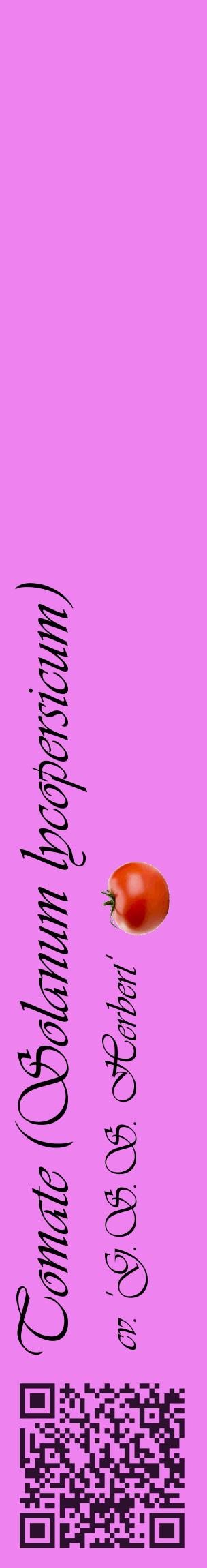 Étiquette de : Solanum lycopersicum cv. 'G.S.S. Herbert' - format c - style noire53_basiqueviv avec qrcode et comestibilité simplifiée
