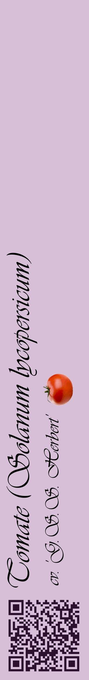 Étiquette de : Solanum lycopersicum cv. 'G.S.S. Herbert' - format c - style noire54_basiqueviv avec qrcode et comestibilité simplifiée