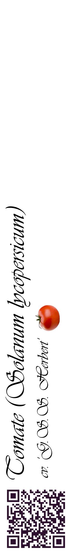 Étiquette de : Solanum lycopersicum cv. 'G.S.S. Herbert' - format c - style noire60_basiqueviv avec qrcode et comestibilité simplifiée