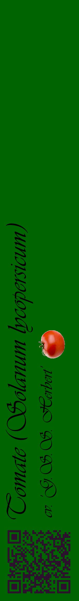 Étiquette de : Solanum lycopersicum cv. 'G.S.S. Herbert' - format c - style noire8_basiqueviv avec qrcode et comestibilité simplifiée