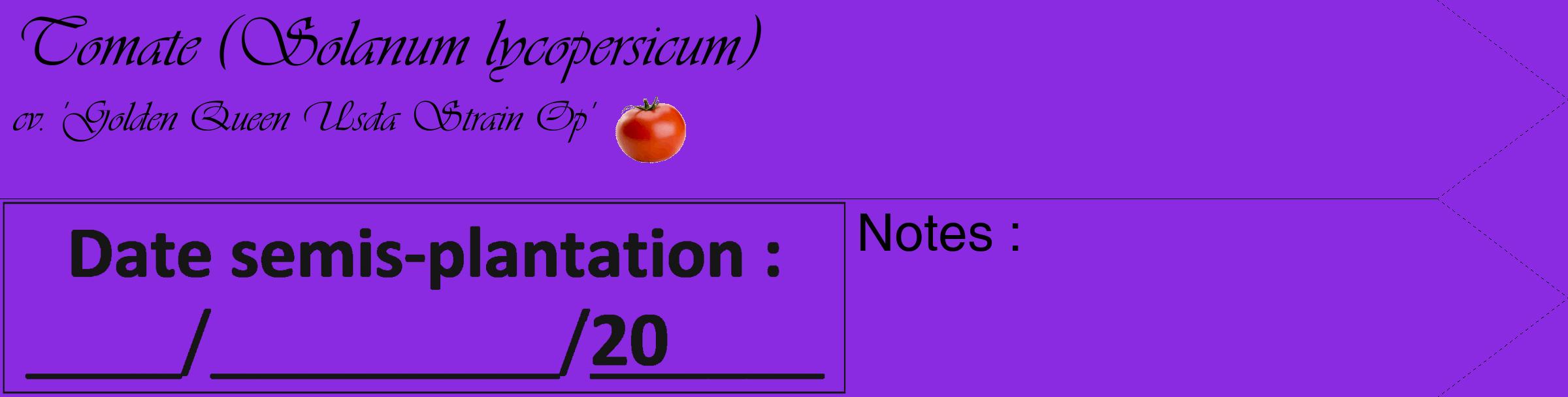 Étiquette de : Solanum lycopersicum cv. 'Golden Queen Usda Strain Op' - format c - style noire49_simple_simpleviv avec comestibilité simplifiée