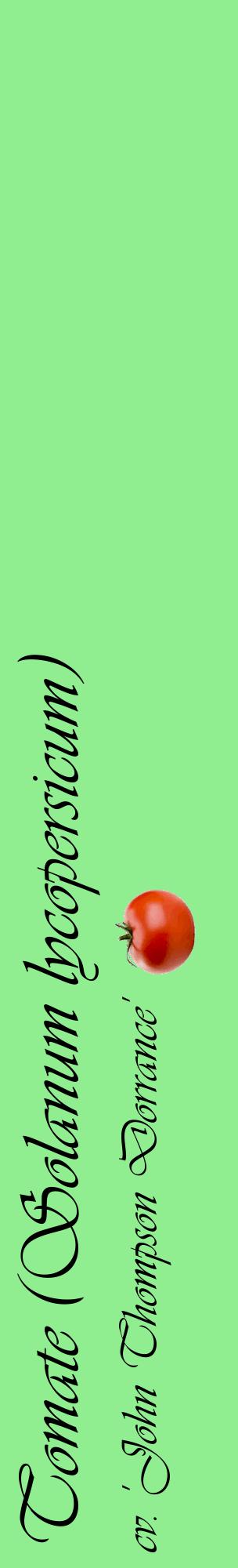 Étiquette de : Solanum lycopersicum cv. 'John Thompson Dorrance' - format c - style noire15_basiqueviv avec comestibilité simplifiée