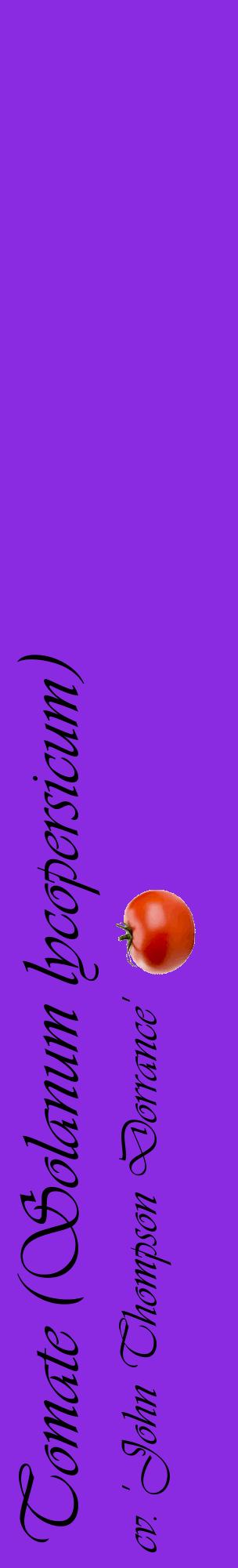 Étiquette de : Solanum lycopersicum cv. 'John Thompson Dorrance' - format c - style noire49_basiqueviv avec comestibilité simplifiée