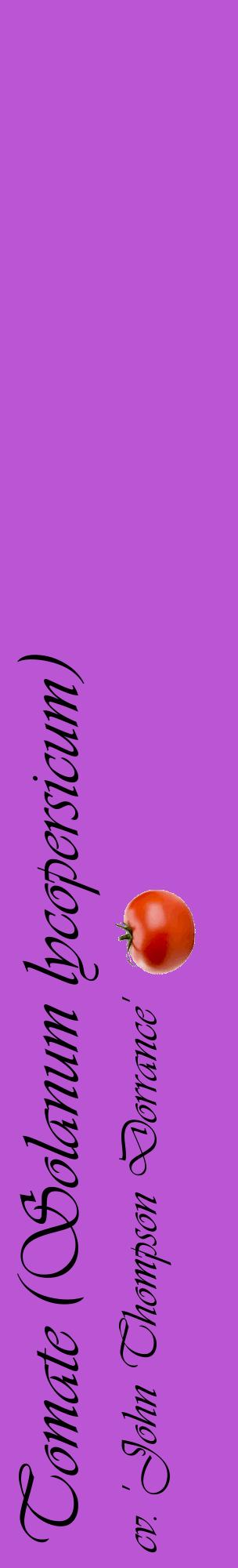 Étiquette de : Solanum lycopersicum cv. 'John Thompson Dorrance' - format c - style noire50_basiqueviv avec comestibilité simplifiée