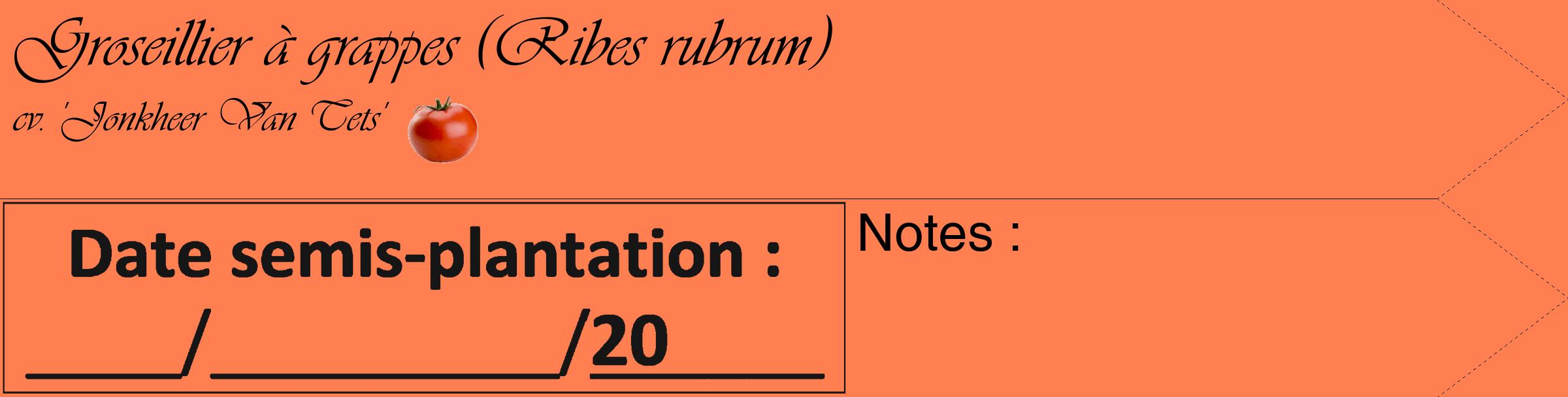 Étiquette de : Ribes rubrum cv. 'Jonkheer Van Tets' - format c - style noire24_simple_simpleviv avec comestibilité simplifiée