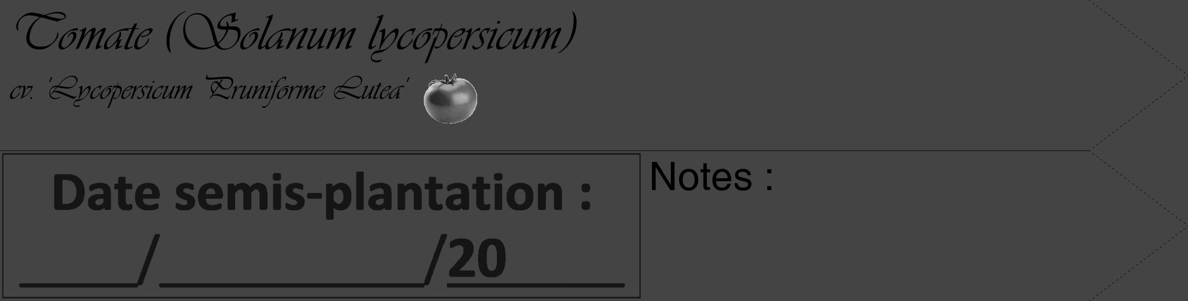 Étiquette de : Solanum lycopersicum cv. 'Lycopersicum Pruniforme Lutea' - format c - style noire48_simple_simpleviv avec comestibilité simplifiée