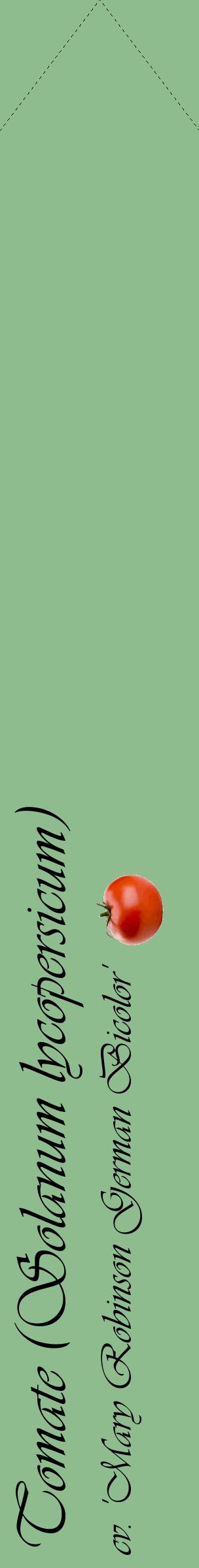 Étiquette de : Solanum lycopersicum cv. 'Mary Robinson German Bicolor' - format c - style noire13_simpleviv avec comestibilité simplifiée
