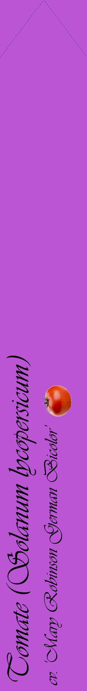 Étiquette de : Solanum lycopersicum cv. 'Mary Robinson German Bicolor' - format c - style noire50_simpleviv avec comestibilité simplifiée